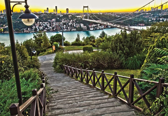 Fotobehang Wooden Path | XL - 208cm x 146cm | 130g/m2 Vlies