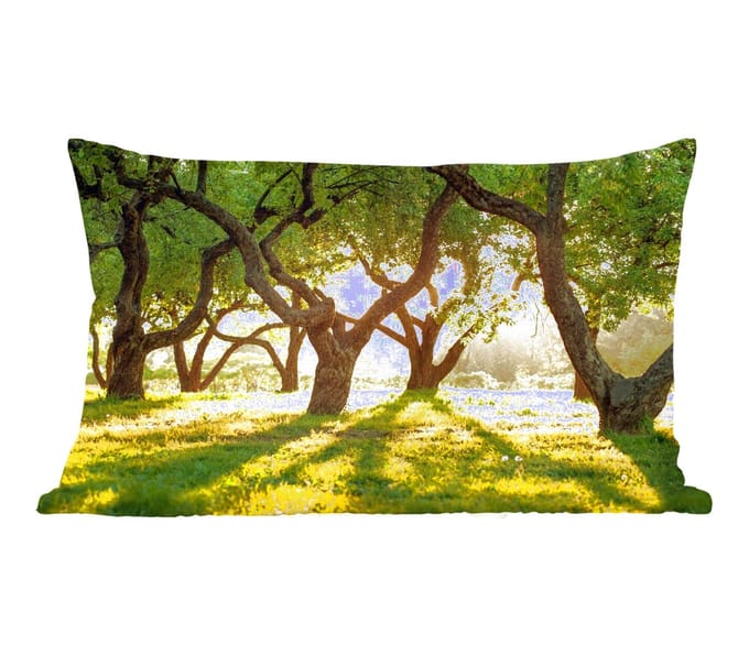 Sierkussens - Kussentjes Woonkamer - 50x30 cm - Bomen - Natuur - Zon