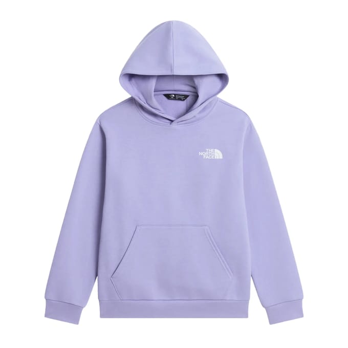 Junior Hoodie The North Face Evolution Box NSE