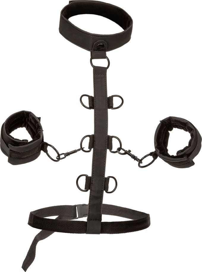 Boundless Collar Restraint