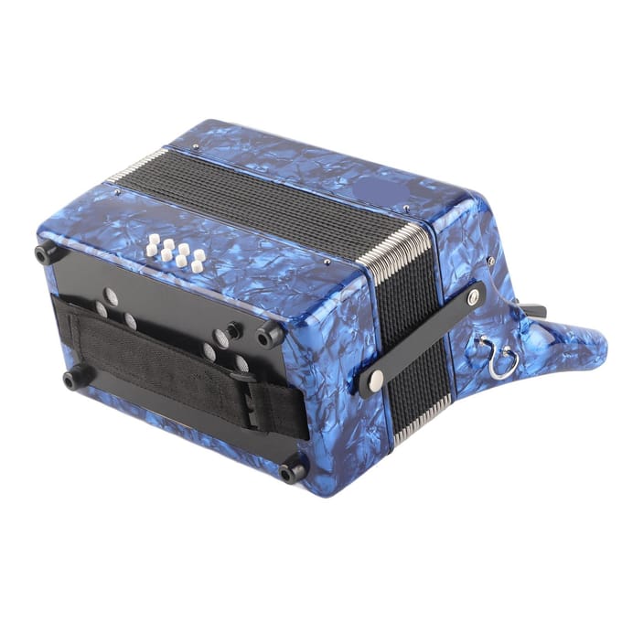 Accordeon Heldere Kleur 22?Sleutel 8?Bas Piano Keyboard Instrument voor Podiumoptreden gray