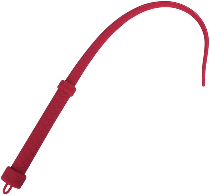 Smart Moves - Siliconen Singletail Zweep - Rood