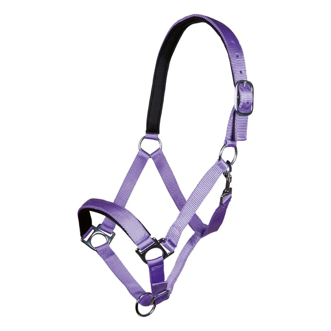 Halster voor paarden HKM Stars
