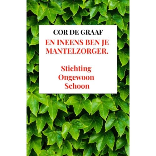 En Ineens Ben Je Mantelzorger. - Cor De Graaf