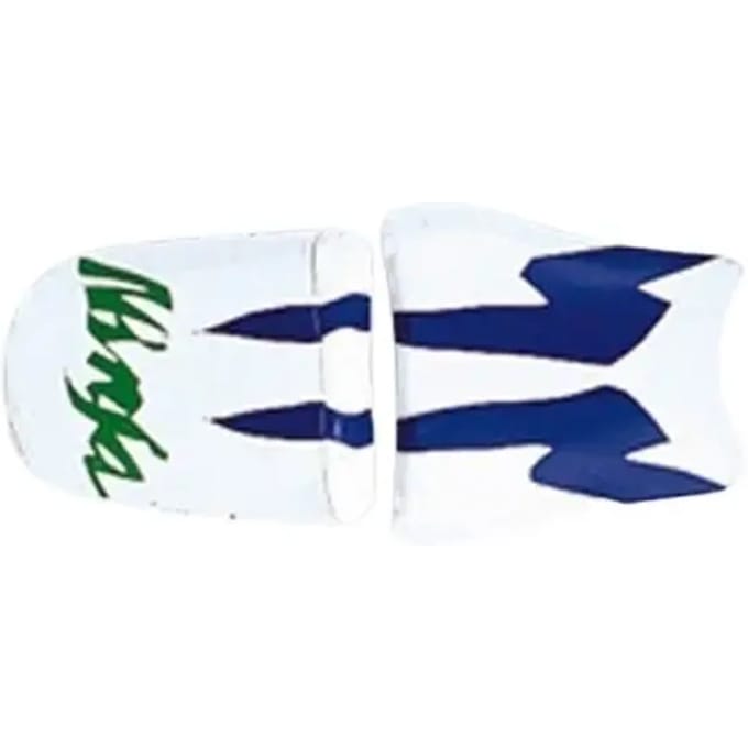 Motorzadelhoes Bagster ninja zx 9 r