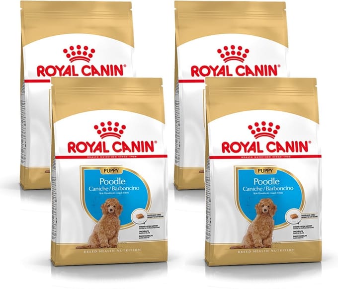 Royal Canin Poodle - Puppy-Hondenvoer - 4 x 3 kg