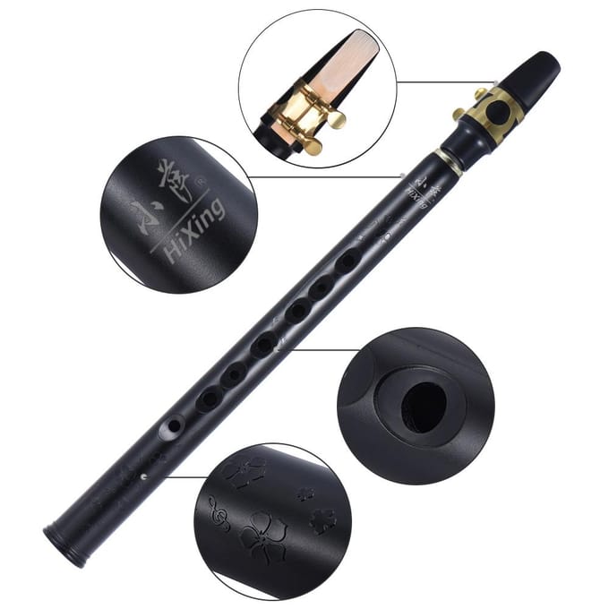 MinHiXing Saxophone Pocket Sib Sax ABS avec Becs Alto 10 Anches Étui de Transport Instrument à Vent noir