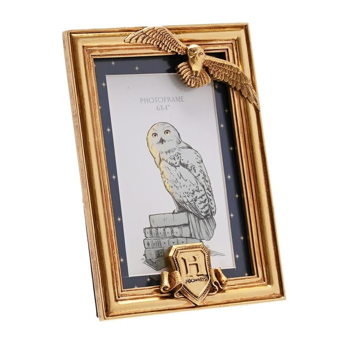 Harry Potter Hedwig Unisex Decoratieve Artikelen - goudkleurig - Standard