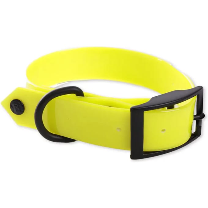 Fluo hondhalsband jacht Martin Sellier