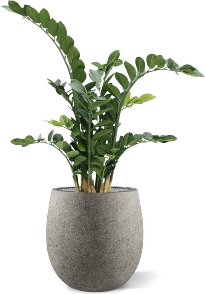 Zamioculcas kunstplant 100cm