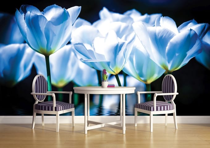Flowers Poppies Photo Wallcovering