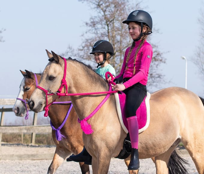 Qhp Touwhalster Met Teugels Donkerroze - pony