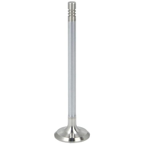 Uitlaatklep NE 148051000001