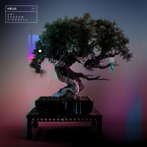 Any Random Kindness - Haelos