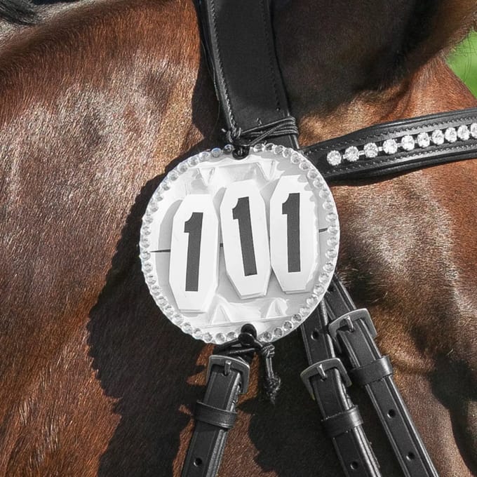 Paardenstartnummer met kristallen stenen USG
