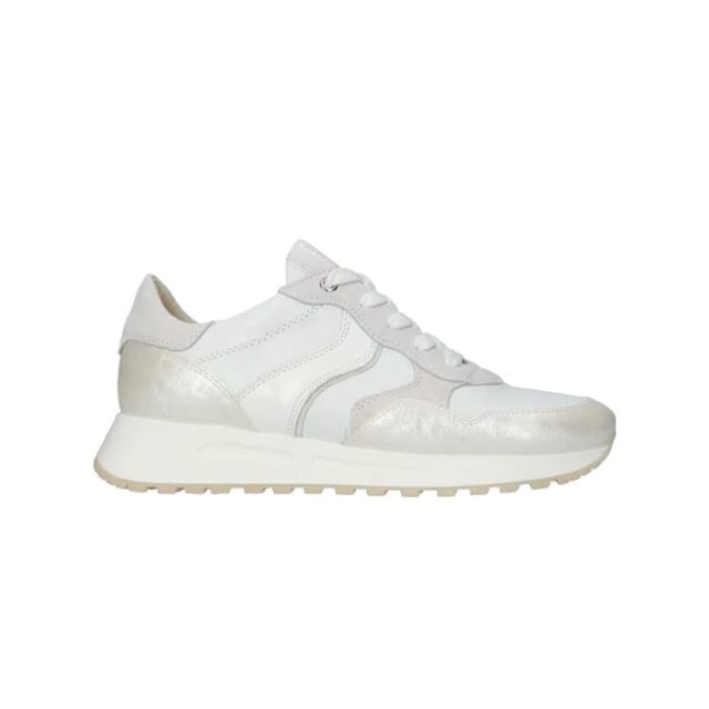 DL Sport 65277