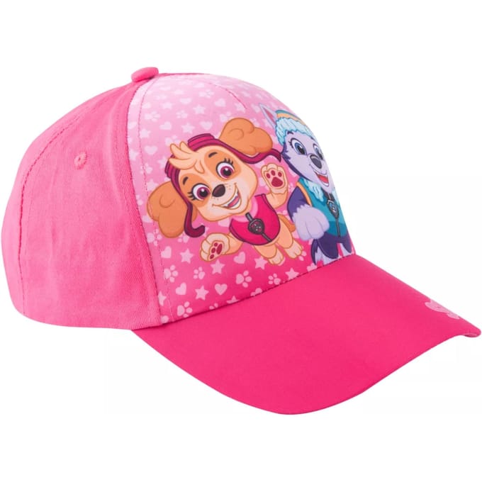 Paw Patrol pet