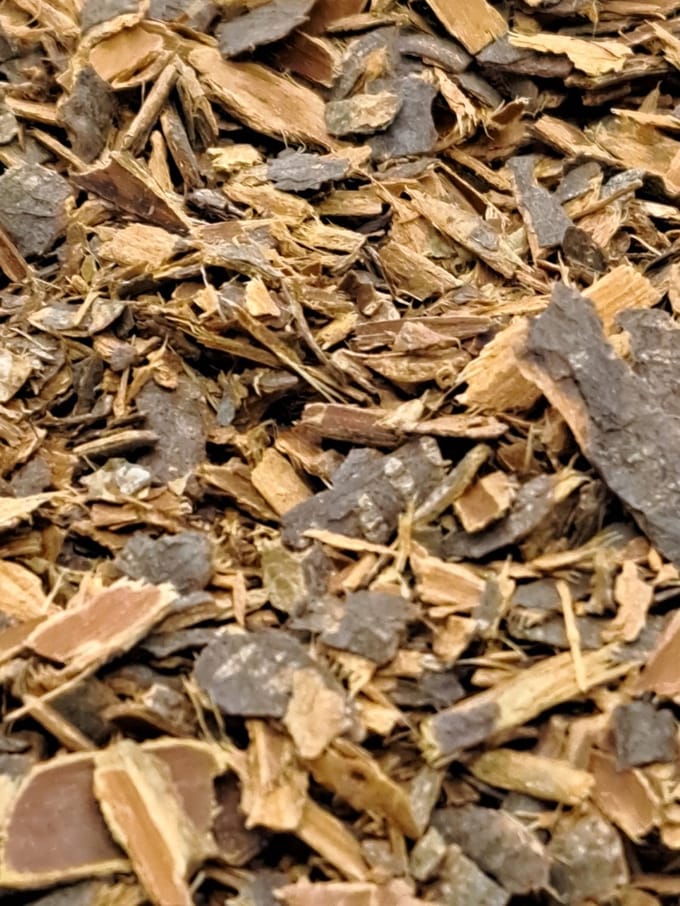 Rhamnusbast 100g Vuilboombast (Rhamnus frangula)