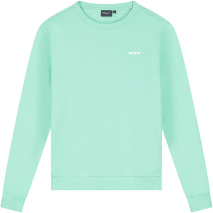Ballin Amsterdam - Jongens Regular fit Sweaters Crewneck LS - Mint - Maat 16