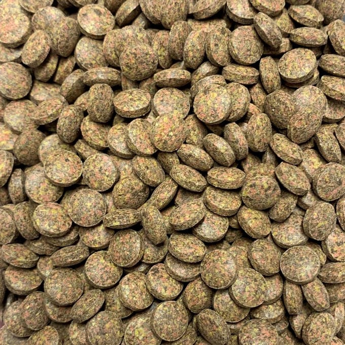 Aquarium - Visvoer - Super Tropical Nano Tabs - 100 ml