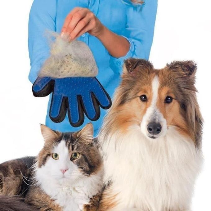 Gant brosse de toilettage - Silicone souple - 180 embouts - Pour chiens et chats
