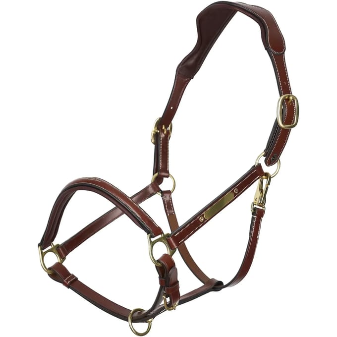 Halster voor paarden HV Polo Legacy
