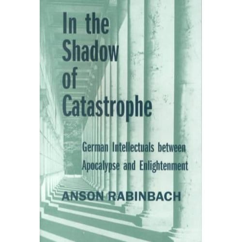 In The Shadow Of Catastrophe - Anson Rabinbach