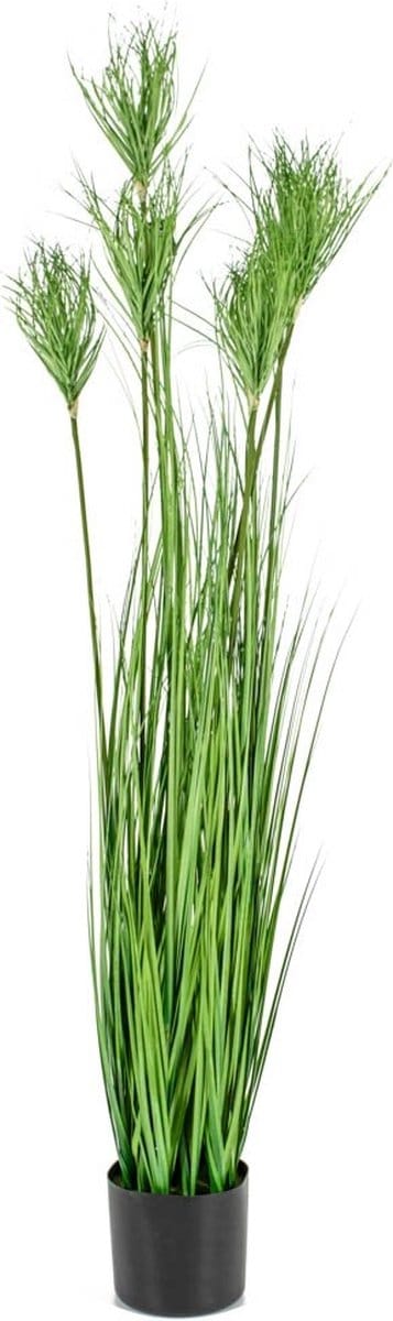 HomeBound by KY | Kunstplant gras | 150cm | gras kunstplant