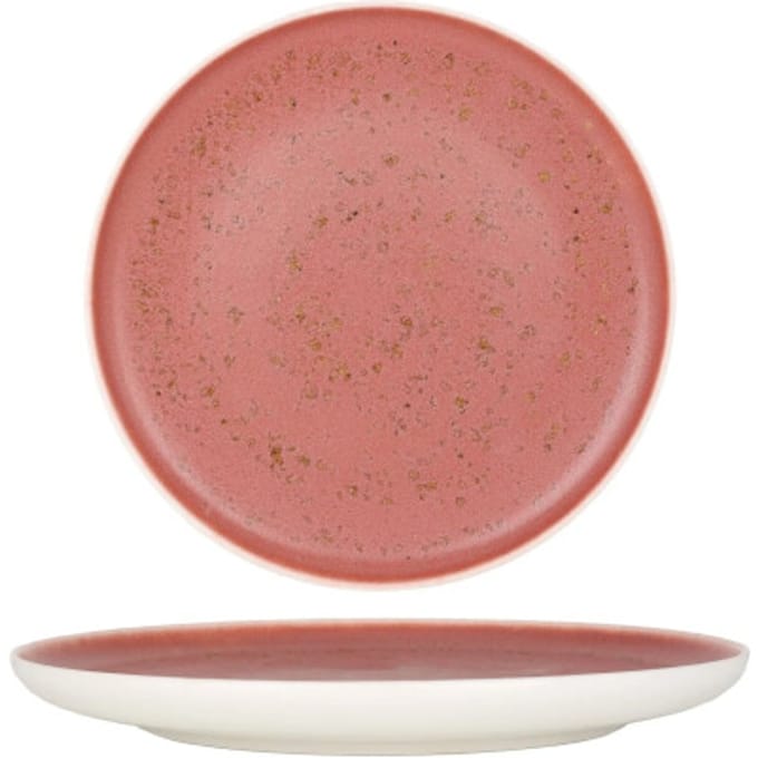 Rinart Dinerbord - Rosa - Porselein - 25 cm - set van 6