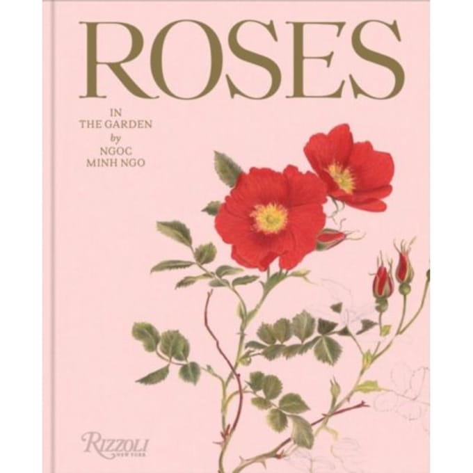 Roses In The Garden - Ngoc Minh Ngo