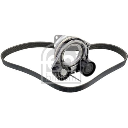 Poly V-riem set FEBI BILSTEIN 183739
