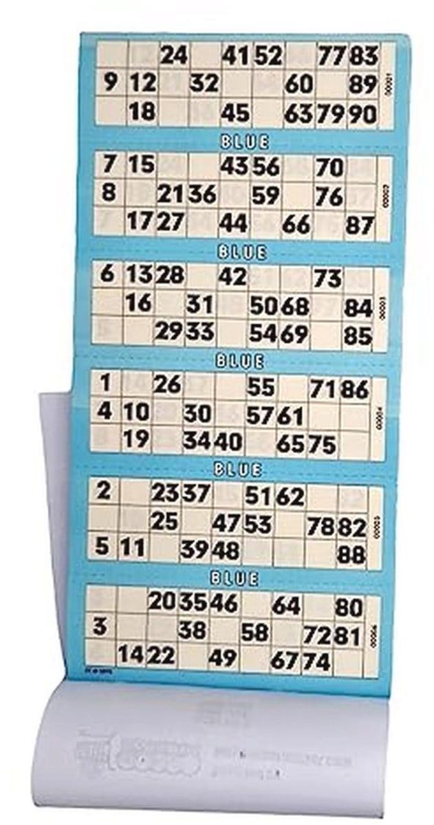Bingo Tickets 600 stuks - Geperforeerd 1-90 met 6 Kaartjes per Vel