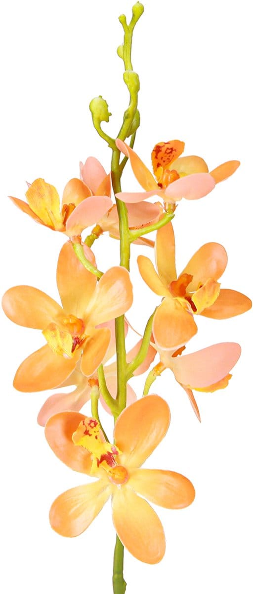 Kunstmatige Orchideeën Tak 8 Bloemen Oranje L38cm 2st, 2 Stück