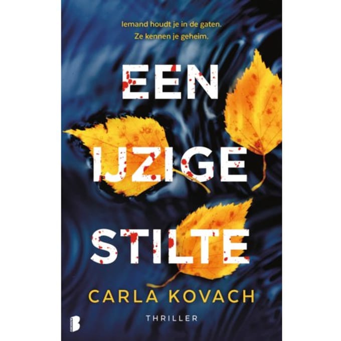 Een Ijzige Stilte - Gina Harte - Carla Kovach