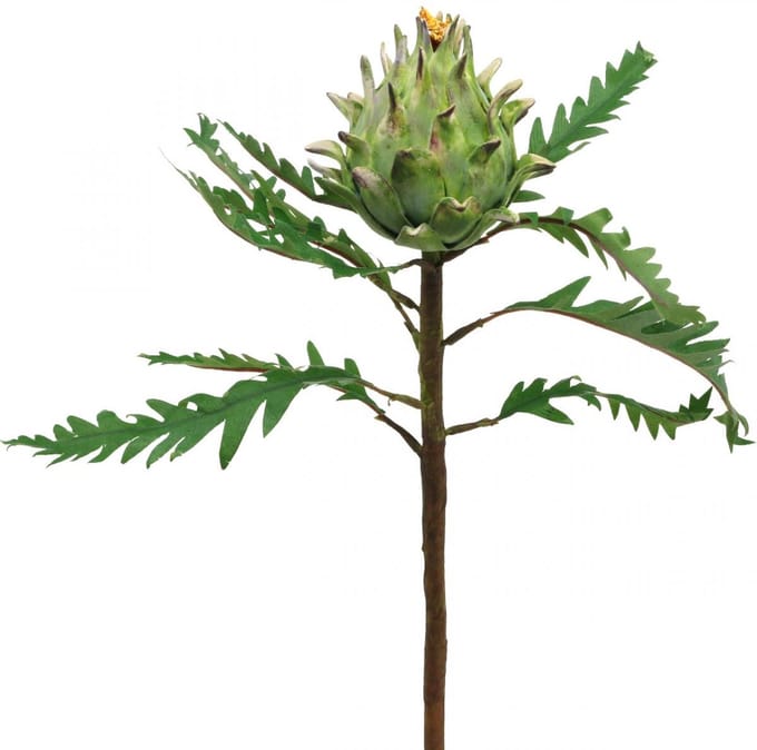 Artisjok Artisjok Groen Deco Herfst Ø7.5cm H43cm