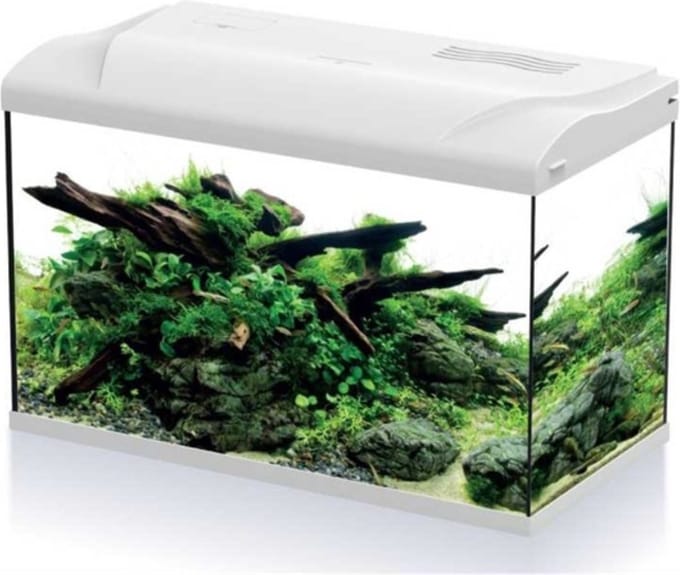 HS Aqua Platy 70 Aquarium Led White - 65 Liter Aquarium starterset