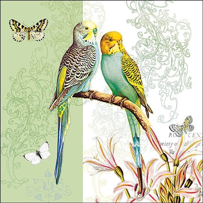 Lunch Servetten Budgies Green - Ambiente - 33x33 cm