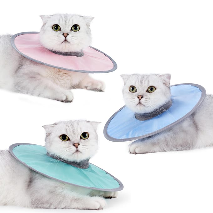 Kattenkegelhalsband Stop Likken Verstelbare Geribbelde Hals Herstelhalsband Medium turquoise