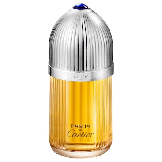 Cartier Pasha de Cartier - 100 ml - parfum spray - herenparfum