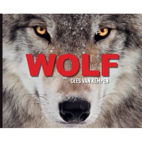 Wolf - Cees van Kempen