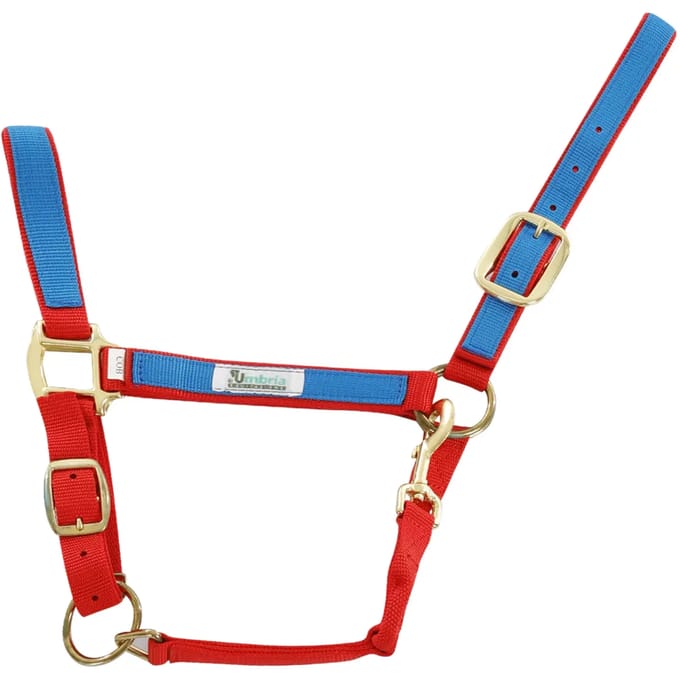 Kleurige nylon halster voor paard Umbria Equitazione