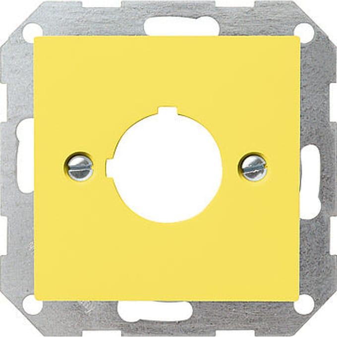 Gira Systeem 55 Schakelmateriaalinzetstuk - 027102