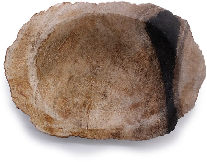Petrified Wood Black Soap Dish