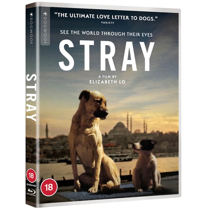 Stray