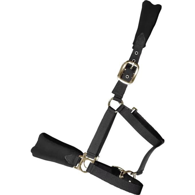 Halster voor paarden Zaldi Deluxe