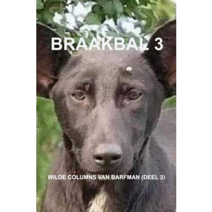 Braakbal 3 - B. Arfman