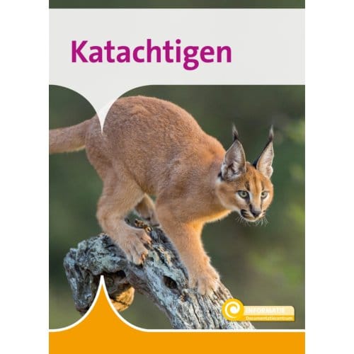 Katachtigen - Informatie - Marlies Huijzer