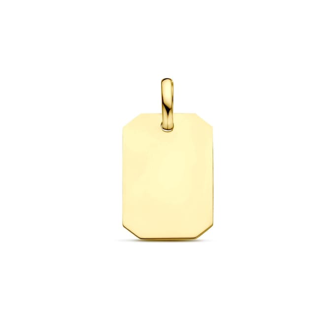 9K Geelgouden 9k graveerhanger 20 mm - 8000167