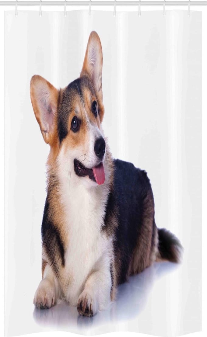 ABAKUHAUS douchegordijn – Corgi kunst – 120 x 180 cm – Polyester