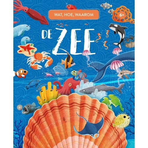 De Zee - Wat, Hoe, Waarom - Giuali Pesavento
